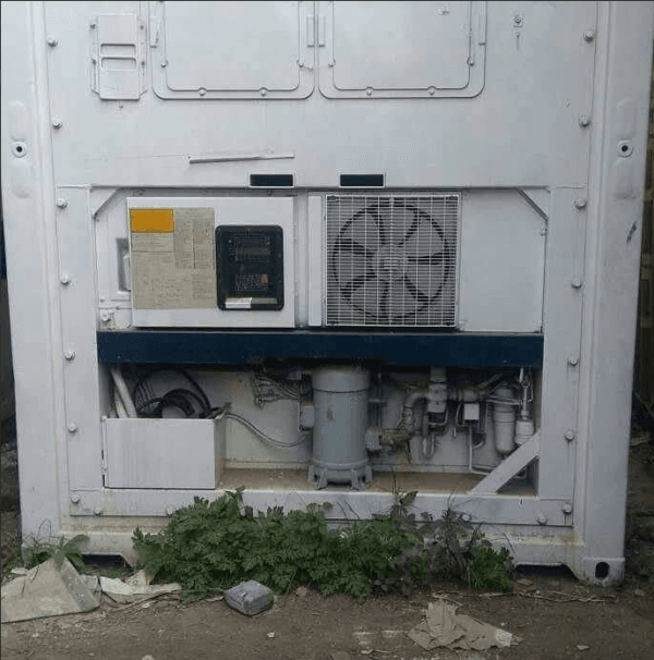 40ft Refrigerated Container — Spacious - Image 3
